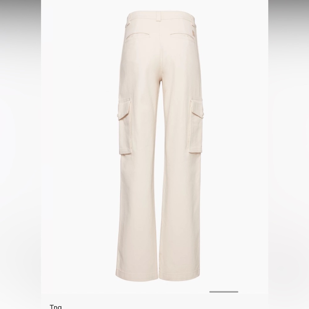 ARITZIA cargo pants